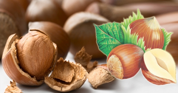 Ordu’da Fındık Fiyatları