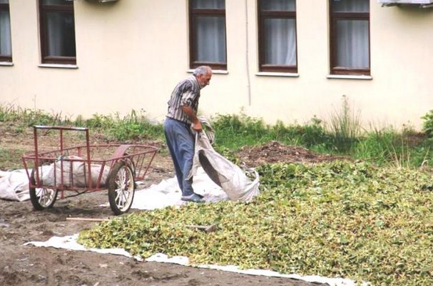 Üretici Borçları Ertelendi, Faizsiz Kredi Geliyor