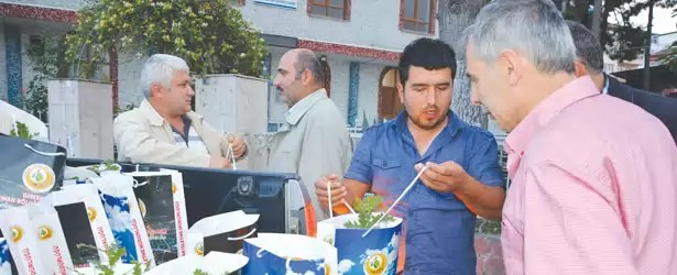 Fatsa İlçesi’nde 200 Fidan Dağıtıldı