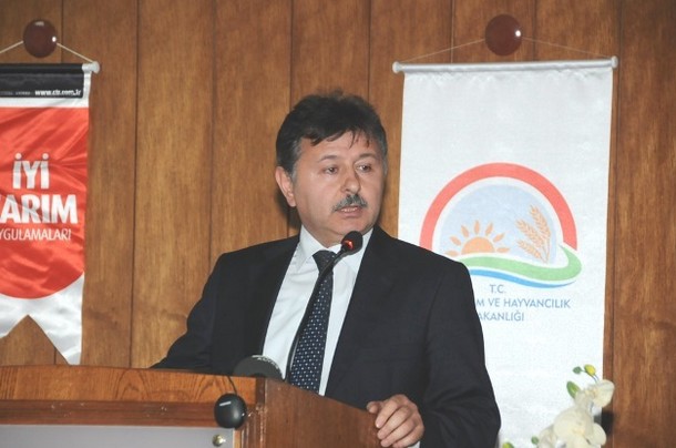 Fındık Gelir Desteği Almak İsteyenler Dikkat