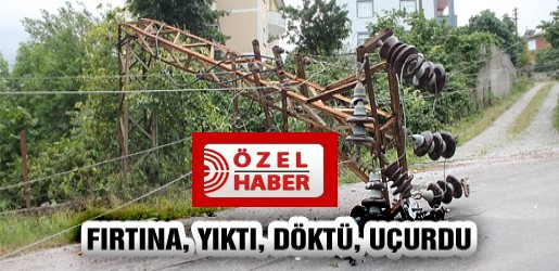 Ünye’de Fırtına Ağaçları Ve Elektrik Direklerini Yıktı