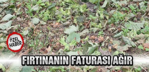 Ramazan Ayının İlk Gününde Fırtınanın Bilancosu Fındığa Ağır Oldu