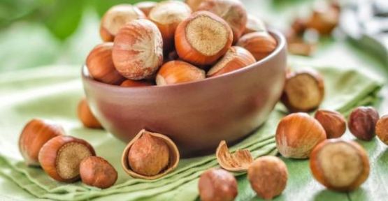 Fındığın Yeni Başkenti Sakarya Oldu