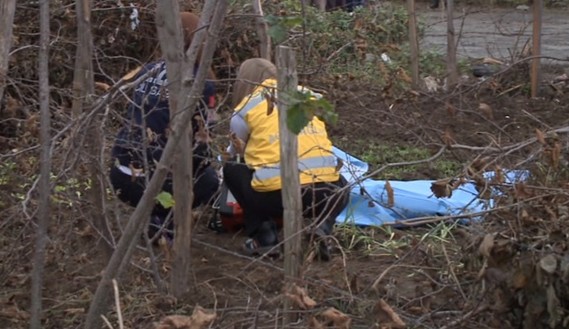 Ordu’da meydana gelen trafik kazasında 1 kişi öldü