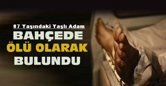 Yaşlı Adamın Ölüsü 1 Ay Sonra Fındık Bahçesi’nde Bulundu