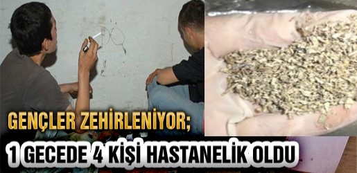 Ünye’de Bonzai Kullanan 4 Genç Yoğun Bakımda