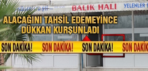 Ünye’de Bir Kişi Alacağını Tahsil Edemeyince Dükkan Kurşunladı