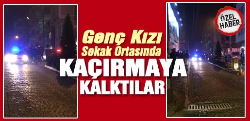 Ünye’de Sokak Ortasında Genç Kızı Zorla Kaçırmaya Kalktılar