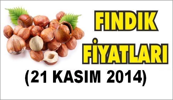 Fındık Fiyatlarında Son Durum