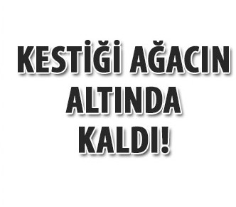 Ağaç üzerine düşünce eli koptu