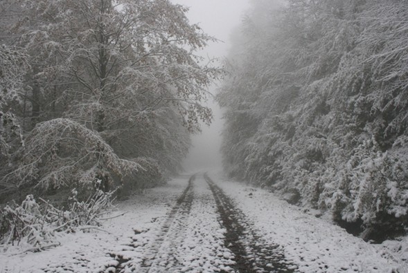 Ordu’ya soğuk hava ve kar yağışı uyarısı geldi