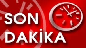 Ordu’da Koyun Yüklü Kamyonet Yuvarlandı