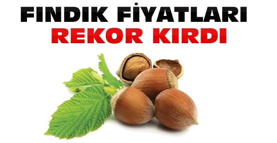 Fındık Fiyatları Haftasonuna Yükselişle Girdi