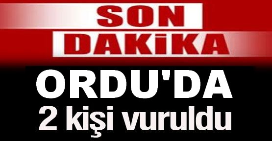Ordu’da Çıkan Kavgada 2 Kişi Vuruldu