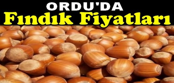 Ordu’da günün fındık fiyatları