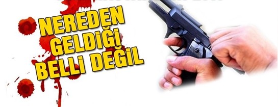 Ordu’da maganda kurşunu 1 kişiyi yaraladı