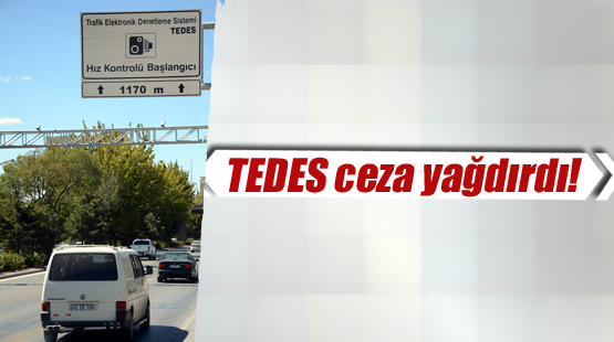 Ordu’da tedes aracılığıyla kaç bin kişi ceza yedi?
