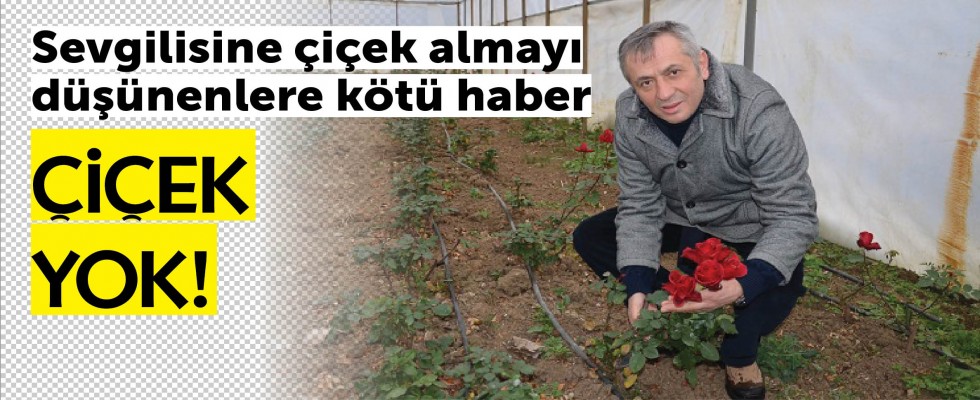 Çiçek yok!