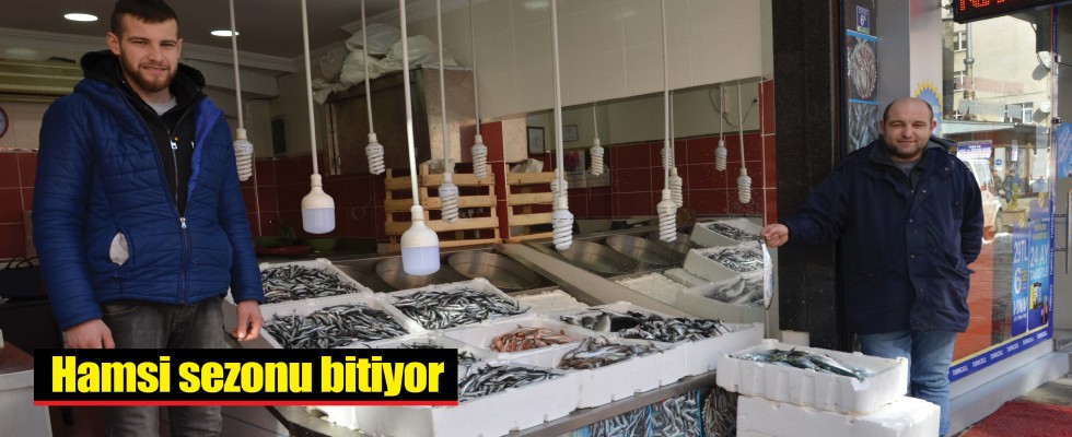 Hamsi sezonu bitiyor