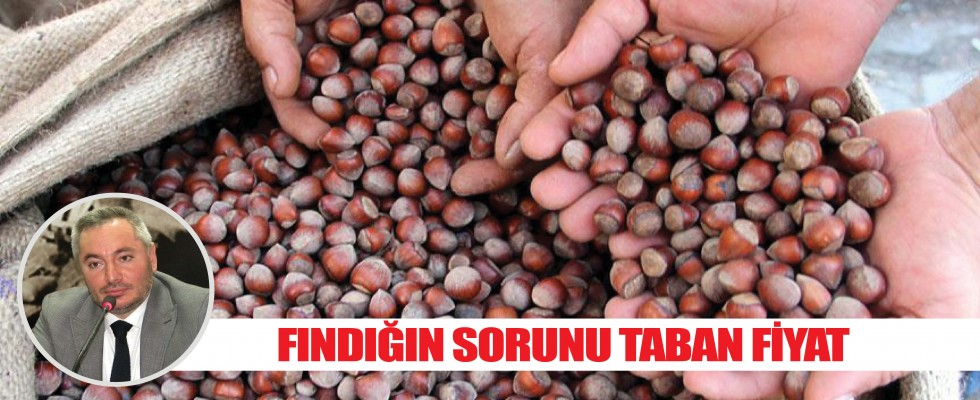 FINDIĞIN SORUNU TABAN FİYAT
