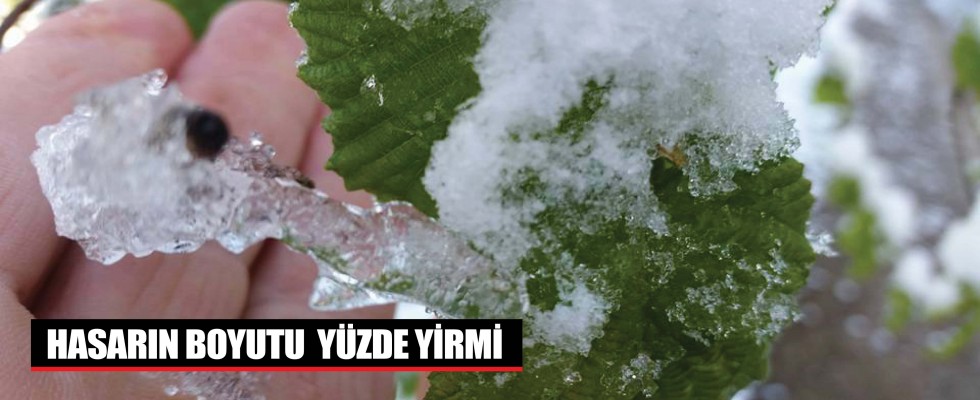 HASARIN BOYUTU  YÜZDE YİRMİ