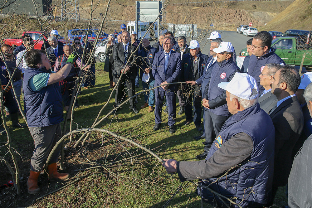 Vali Yavuz, Fındıkta Verimliliği ve Kaliteyi Artırmaya Yönelik Proje Çalışmalarını Yerinde İnceledi