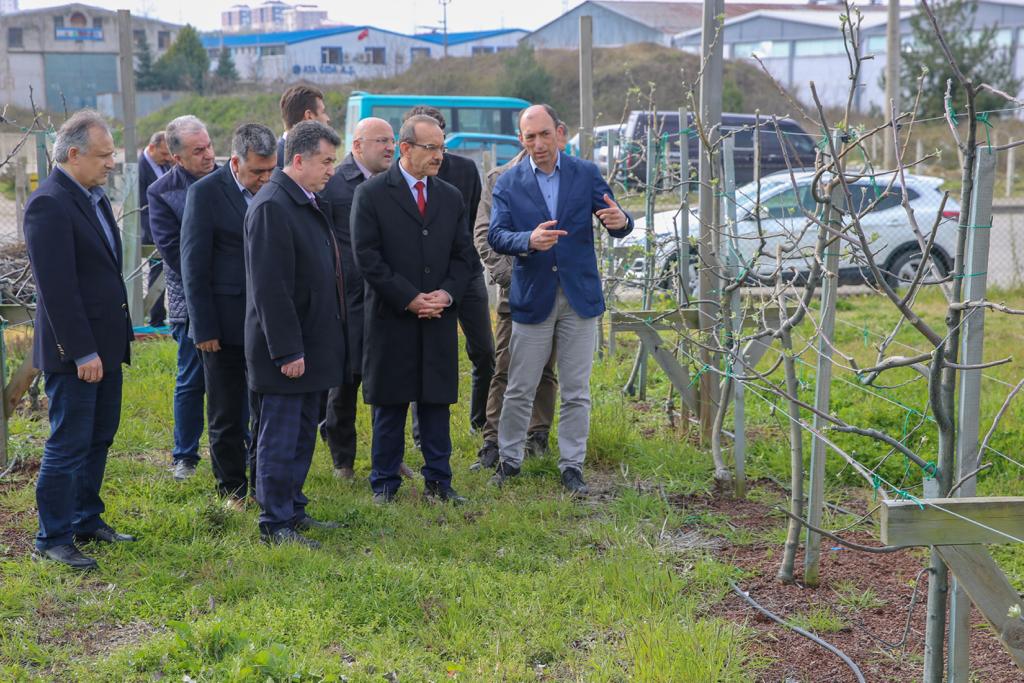 Vali Yavuz, Örnek Fındık Bahçesinde İncelemede Bulundu