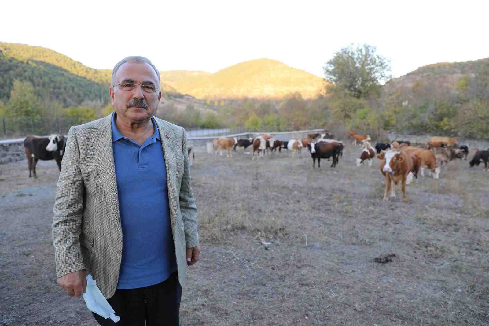 BESİCİLERİN TERCİHİ HAYVAN BAKIM OTELİ