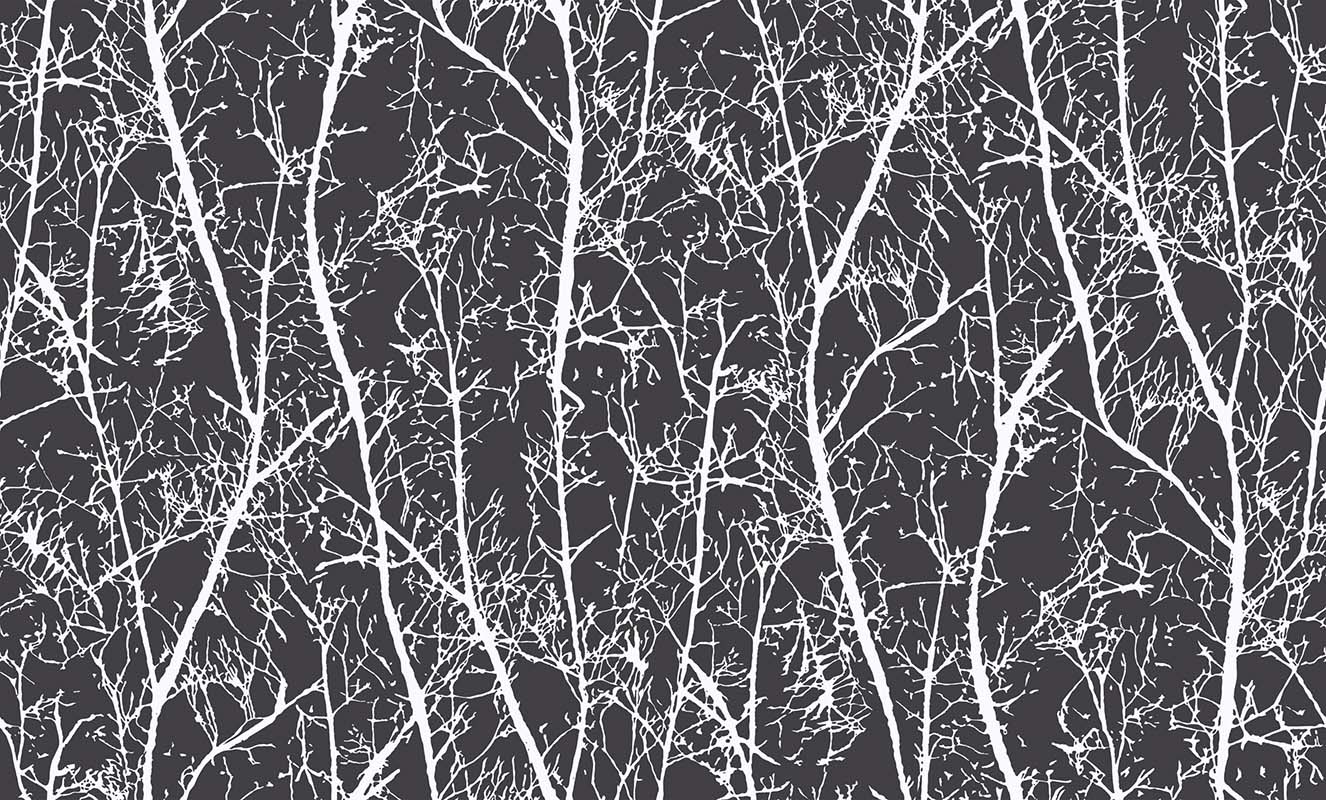 Siyah Duvar Kağıdı Nereden Bulabilirim?