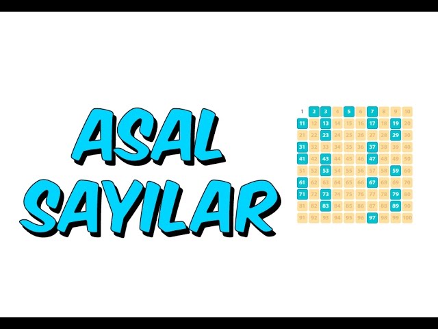 Asal Sayı Nedir?
