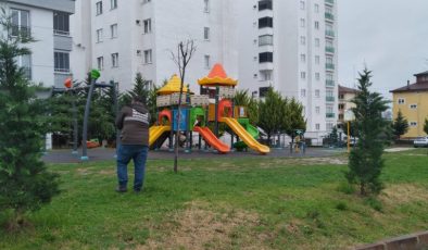 FATSA BELEDİYESİ YEŞİL ALANLARI BAHARA HAZIRLIYOR