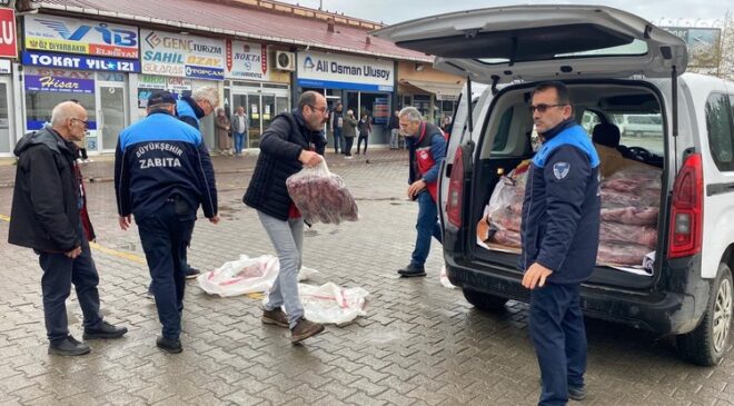 FATSA’DA MİDE BULANDIRAN MANZARA